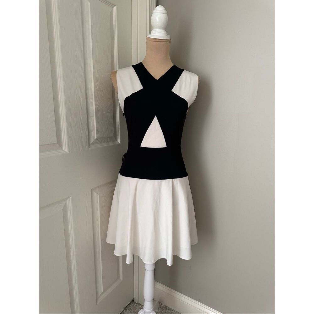 BCBG Maxazria Aloissa dress